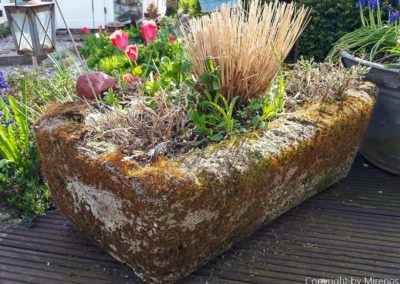 diy-beton-gefaess